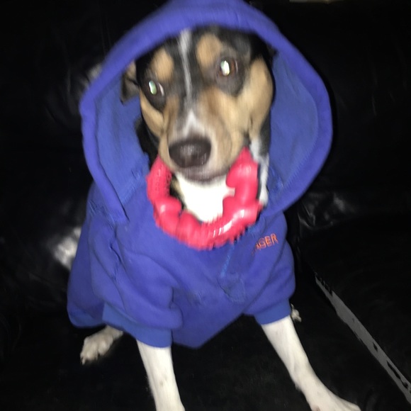 Meet your Posher, Jillian - Picture 1 of 1